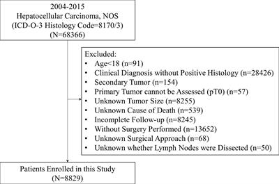 Development and Validation of a Novel Model to Predict Regional Lymph Node Metastasis in Patients With Hepatocellular Carcinoma